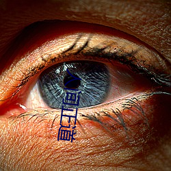 人间正道
