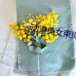 动漫美女束缚