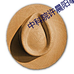 中科院许(許)晨(晨)阳事(事)件(件)后(後)续(續)