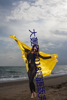 大轰炸2018国语版完整版