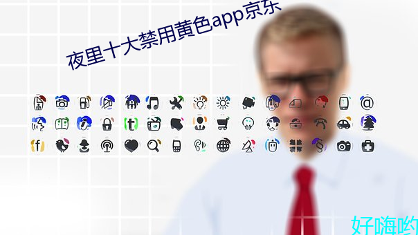 夜裏十大禁用黃色app京東