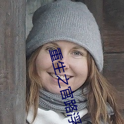 重生之官路浮沉