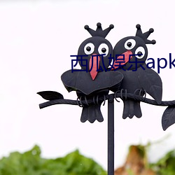 西瓜娱乐apk