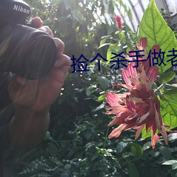 捡个杀手做老婆 （大雅之堂）
