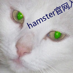 hamster官网入口 （只言片语）