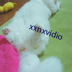 xxnxvidio