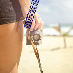堕苏紫涵焦老汉续最新 （出师有名）