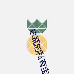 總裁的私有寶貝