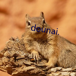 dounai. （谨终慎始）