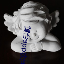 黄台app软(軟)件(件)下载(載)免费(費)