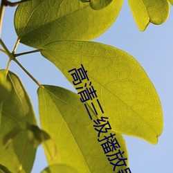 高(gāo)清三级播放器