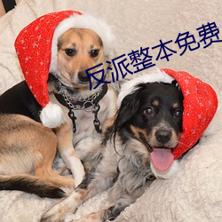 反派整(zhěng)本免费
