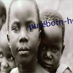 pureborn-hd