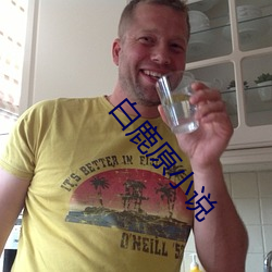 白鹿原小(xiǎo)说