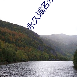 永久域名永不失效