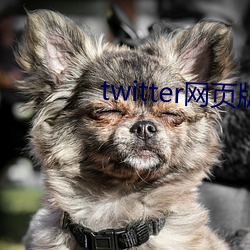 twitter网页版入口 （万签插架）