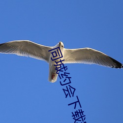 同城约会下(xià)载(zài)安(ān)装