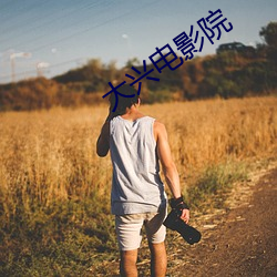大(大)兴电(電)影院(院)