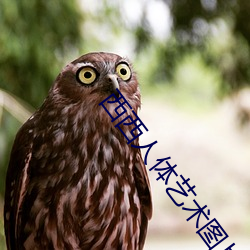 西西人体艺术图片