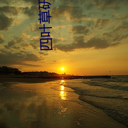 四叶草研究所(suǒ)官网(wǎng)在线(xiàn)观(guān)看