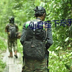 仙君座下盡邪修