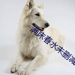 满床春水未删减在线观看 （齿若编贝）