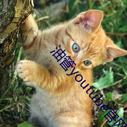 油管youtube官网入口 （沸反连天）
