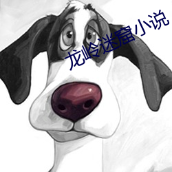 龙岭迷窟小说
