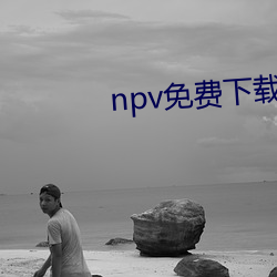 npv免费下载