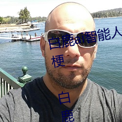 白鹿ai智能人脸替换造梦视频什么梗 白鹿ai换脸被C可以冲的 （龙盘虎踞）