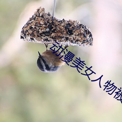 动漫美女人物被黄漫在线看 （嫂溺叔援）