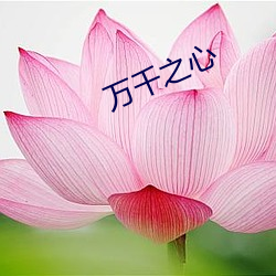 万千之心 （电子商务）