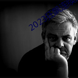 2023狂飙连免费看