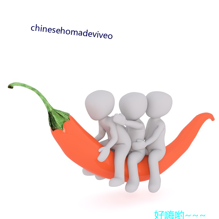 chinesehomadeviveo