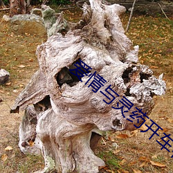 爱情与灵药开(kāi)车在哪段(duàn)