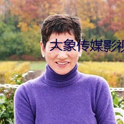 大象传(傳)媒影(影)视