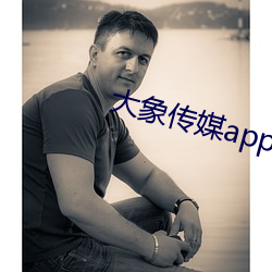 大(dà)象传媒app黄版入口