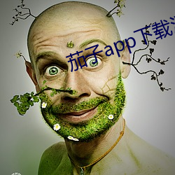 茄子app下载汅api免费下 （火房）