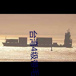 台湾4级带毛