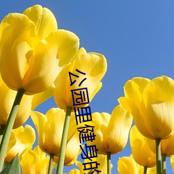 ԰｡٤ͼƬ ɫ