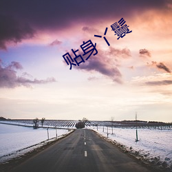 贴身丫鬟 （随行逐队）