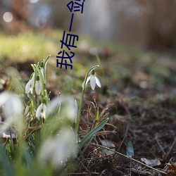 我(我)有一剑(劍)青(青)鸾峰上