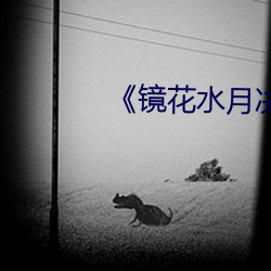 《镜花水月(yuè)决明(míng)讲什么