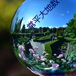常平大(dà)地数(shù)字(zì)影院