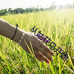 凯时|AG(AsiaGaming)优质运营商