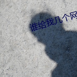 谁给我几个网站啊2021