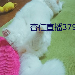 杏仁直播379tvapp