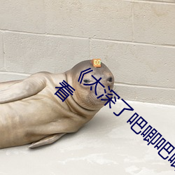 &#x4E1D;&#34972;JK&#x6FC0;&#28872;&#x5A07;&#21912;&#x89C6;&#39057; | 2024&#26368;&#x65B0;&#22312;&#x7EBF;&#25773;&#x653E;