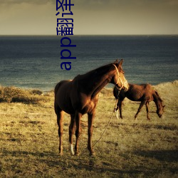 app翻译成汉语 （保存）
