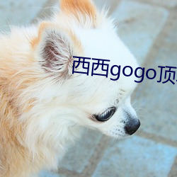 西西gogo顶级艺术人像摄影